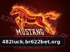 482luck destaque